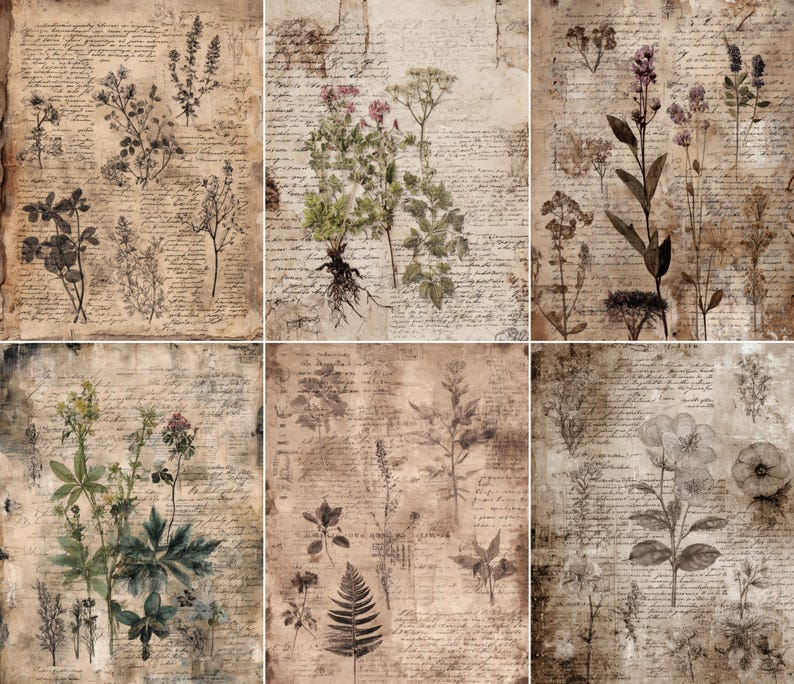 May include: A collage of six vintage-style botanical prints. Each print features detailed illustrations of various plants and flowers, overlaid on aged paper with handwritten script. The color palette is muted, with sepia tones and hints of green.