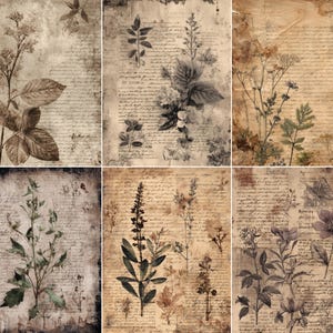 May include: A collection of six vintage-style botanical prints. Each print features sepia-toned floral illustrations and handwritten script backgrounds. The prints showcase various plant species, including leaves, flowers, and stems, with a distressed, aged aesthetic.