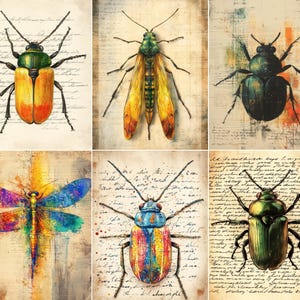 Puede incluir: Un conjunto de seis láminas artísticas con ilustraciones detalladas de varios insectos, incluidos escarabajos y una libélula, sobre fondos de escritura cursiva de estilo antiguo y salpicaduras de acuarela en colores vibrantes.