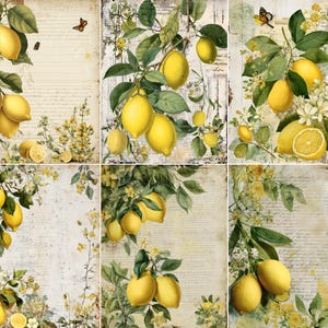 Op de afbeelding: Een collage van zes prints in vintage-stijl met citroenen op takken met groene bladeren en witte bloemen. De achtergrond heeft een vervaagde, verouderde papiertextuur met schrift en vlinders. De citroenen zijn heldergeel.