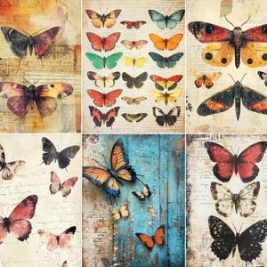 Puede incluir: Una colección de seis paneles con diversas ilustraciones de mariposas y polillas. Las obras muestran especies variadas en tonos rojos, naranjas, amarillos, azules y negros, sobre fondos de pergamino envejecido, texto manuscrito y madera azul desgastada.
