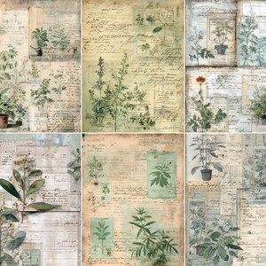 May include: A collection of botanical prints on antique paper. The artwork showcases diverse plants, such as potted herbs and detailed drawings of leaves and flowers. The background incorporates handwritten script and aged textures, producing a vintage appearance.
