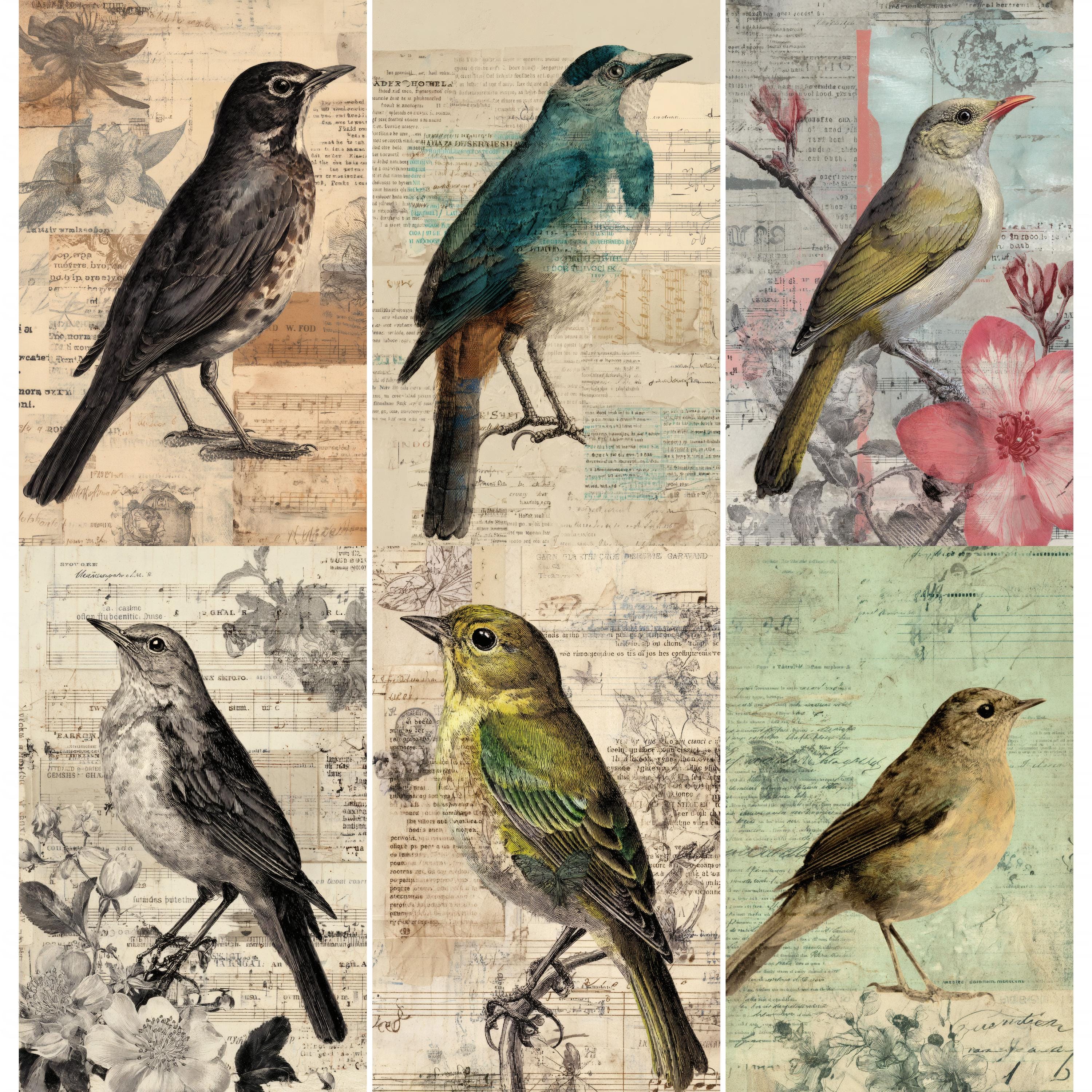Vintage Bird Collage Journal Pages, Nature Inspired Junk Journal Kit ...