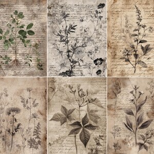 May include: A collage of six botanical illustrations on aged paper. Each features detailed drawings of plants and flowers in shades of green, gray, and brown. The background is filled with handwritten script, creating a vintage aesthetic.