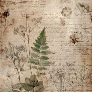 May include: A vintage-style botanical print featuring a fern and other plant illustrations in shades of green and brown. The background is a textured, aged paper with handwritten script, creating a rustic and artistic aesthetic.