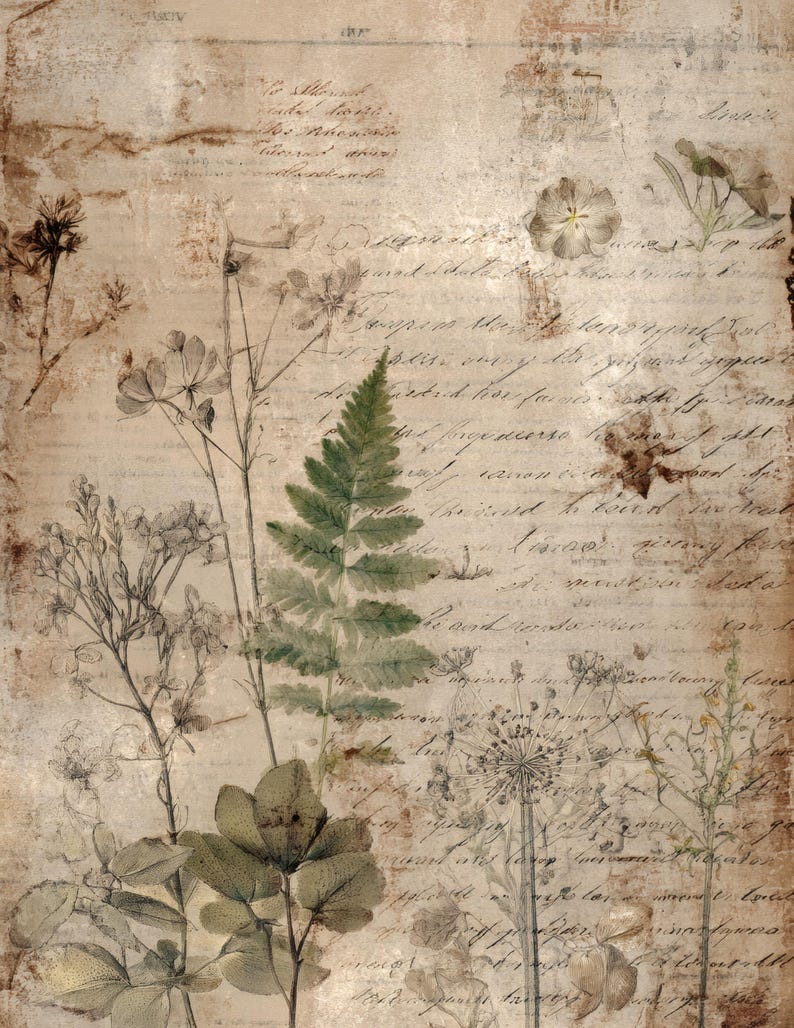 May include: A vintage-style botanical print featuring a fern and other plant illustrations in shades of green and brown. The background is a textured, aged paper with handwritten script, creating a rustic and artistic aesthetic.