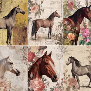 May include: A collage of six images featuring horses. Each image showcases a horse in various poses, set against a backdrop of vintage paper textures and floral elements. The horses vary in color, from gray to brown, and are surrounded by roses.