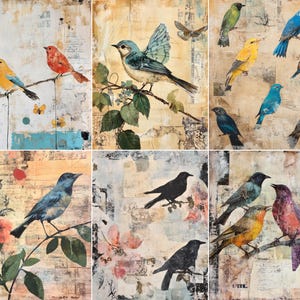 Peut inclure: Un collage de six panneaux avec des illustrations d'oiseaux colorés. Chaque panneau présente des oiseaux perchés sur des branches, sur un fond texturé de style vintage avec des motifs floraux et de papillons. Les oiseaux sont de couleurs variées.