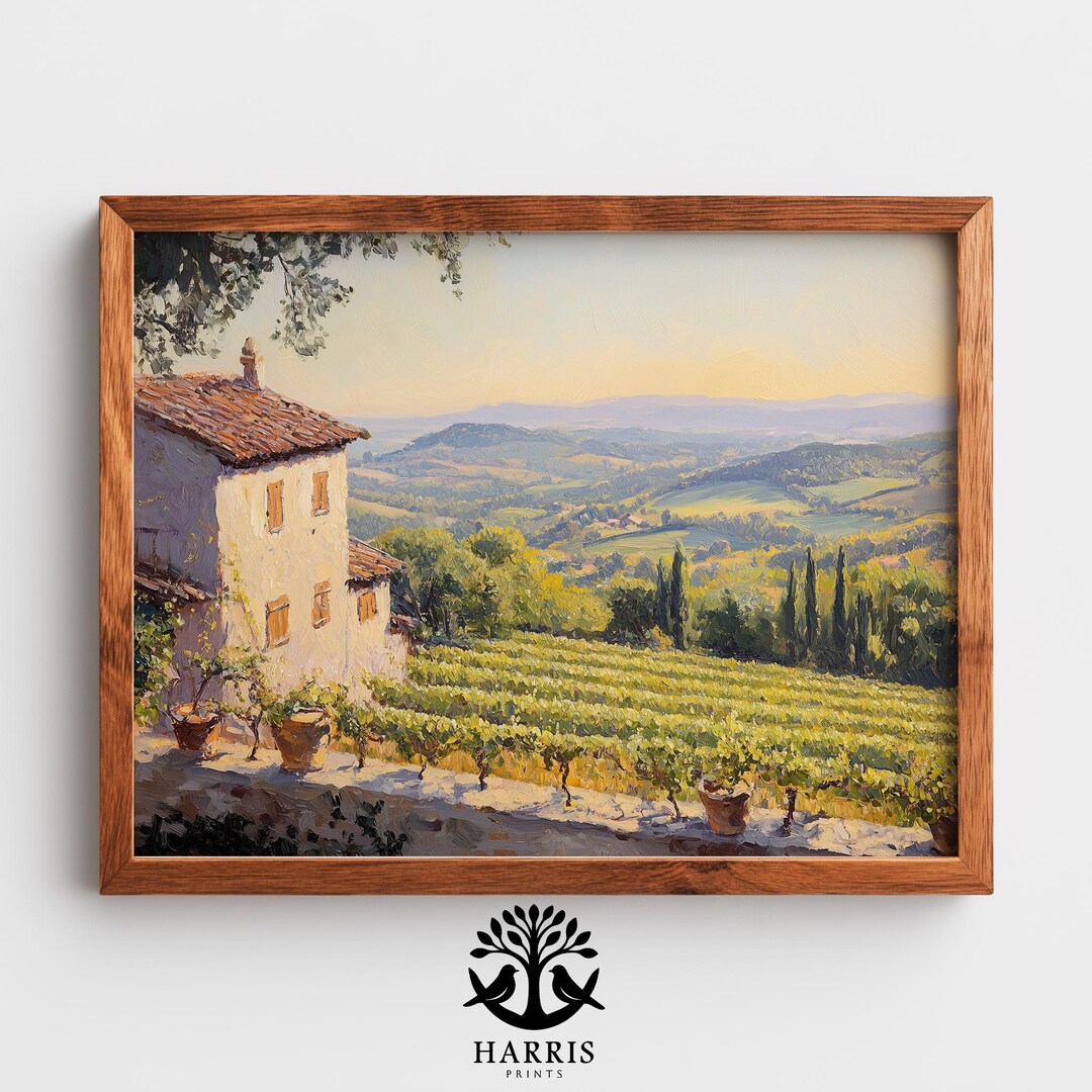 Panoramic French Vineyard Landscape, Sunlit Farmhouse Terrace, Rustic ...