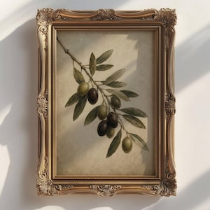 Op de afbeelding: Een rechthoekig wandkunstwerk met een botanische illustratie van een olijftak met groene en donkerpaarse olijven en langwerpige bladeren, gevat in een sierlijke, goudkleurige lijst met gedetailleerd houtsnijwerk.