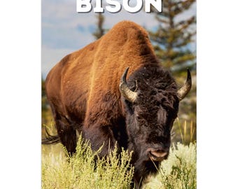 Calendario de pared de bisontes 2026