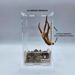 Magnetic Climbing Branch for Spider Enclosure | Natural Arboreal Decor, Mantis Perch