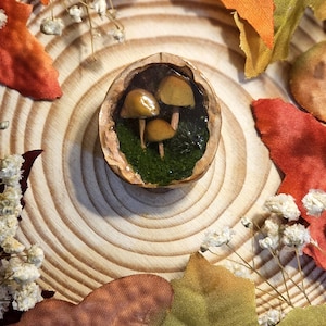 Pode incluir: Uma cena em miniatura de cogumelos dentro de uma casca de noz, colocada sobre uma fatia de madeira. Os cogumelos castanhos estão sobre musgo verde. Folhas de outono em tons de laranja, amarelo e castanho rodeiam a noz, criando um ambiente outonal.