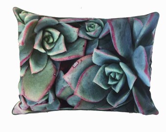 Fantastic succulent pillow