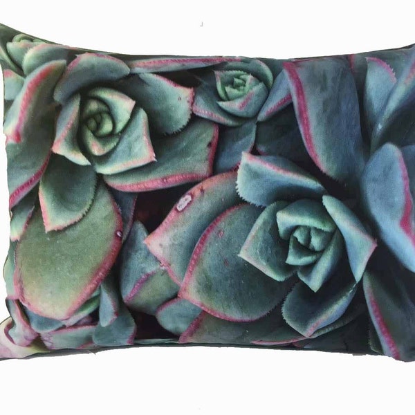 Succulent Pillow Etsy