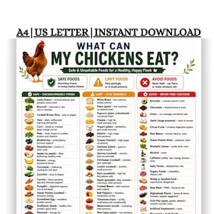 May include: A digital informational chart titled WHAT CAN MY CHICKENS EAT? featuring a brown chicken illustration and three columns categorized as SAFE FOODS, LIMIT FOODS, and AVOID FOODS with lists of items and icons for each food group.