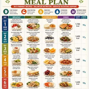 Printbaar 7-daags maaltijdplan met weinig FODMAP's, maaltijdplan voor PDS, dieetplan voor een gezonde darmflora, voedingsgids met weinig FODMAP's, maaltijdplanner voor een gezonde spijsvertering