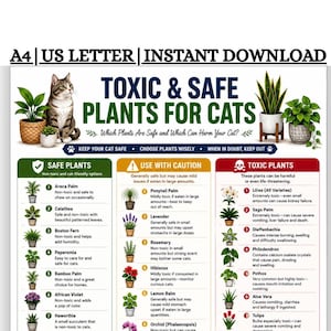 Könnte beinhalten: Ein digitales Informationsblatt mit dem Titel Toxic & Safe Plants for Cats, das eine Katzenillustration und drei farbcodierte Spalten zeigt: Grün für sichere Pflanzen, Gelb für Vorsicht und Rot für giftige Pflanzen, inklusive erklärender Texte.