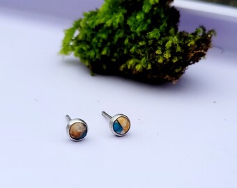 Anniversary Sale Special - 5mm Copper Spiney Oyster and Turquoise Studs in Sterling