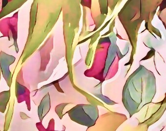June's Rose