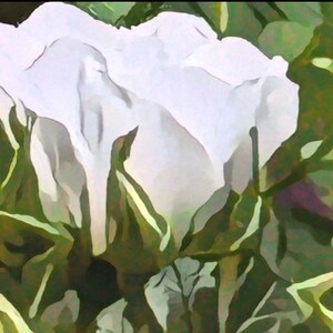 Peut inclure: Gros plan artistique d'une rose blanche en pleine floraison, entourée de feuilles et de boutons verts. Les pétales sont doux et texturés, avec des nuances subtiles. L'image a une qualité picturale, évoquant la beauté naturelle.