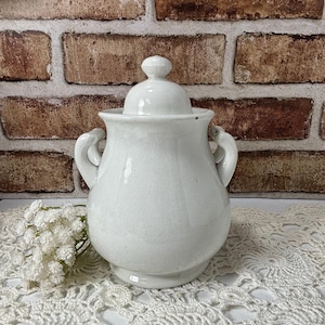 May include: A white ceramic sugar bowl with a matching lid, featuring two curved side handles and a rounded body. The surface has a subtle crackle glaze finish. A small cluster of white artificial flowers sits beside the base of the bowl.