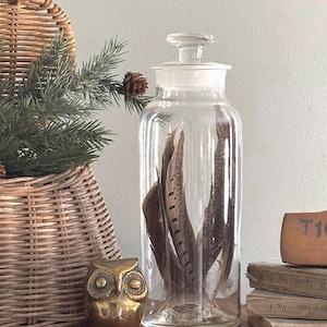 Antique Apothecary Clear Glass Bottle Ground Stopper 9.5"  Blown Glass Bottle Medicine Bottle Pharmacy Pharmaceutical Glass Bottle Pontil