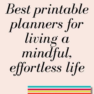 Meal Planning Printable Planner Digital Download Meal Schedule Template Professional Meal Plan System Tool Busy Family Meal Organizer Tips image 15