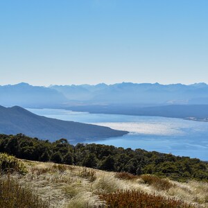 May include: A scenic landscape featuring a vast lake surrounded by mountains under a clear blue sky. The foreground shows grassy vegetation and shrubs, with the water reflecting sunlight. The image captures a serene, natural environment.