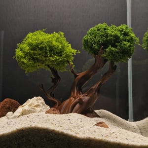May include: A brown, artificial bonsai tree with two green, spherical, leafy tops. The tree is placed in a sandy environment with rocks. The background is dark, creating a contrast with the bright green and brown colors of the tree.