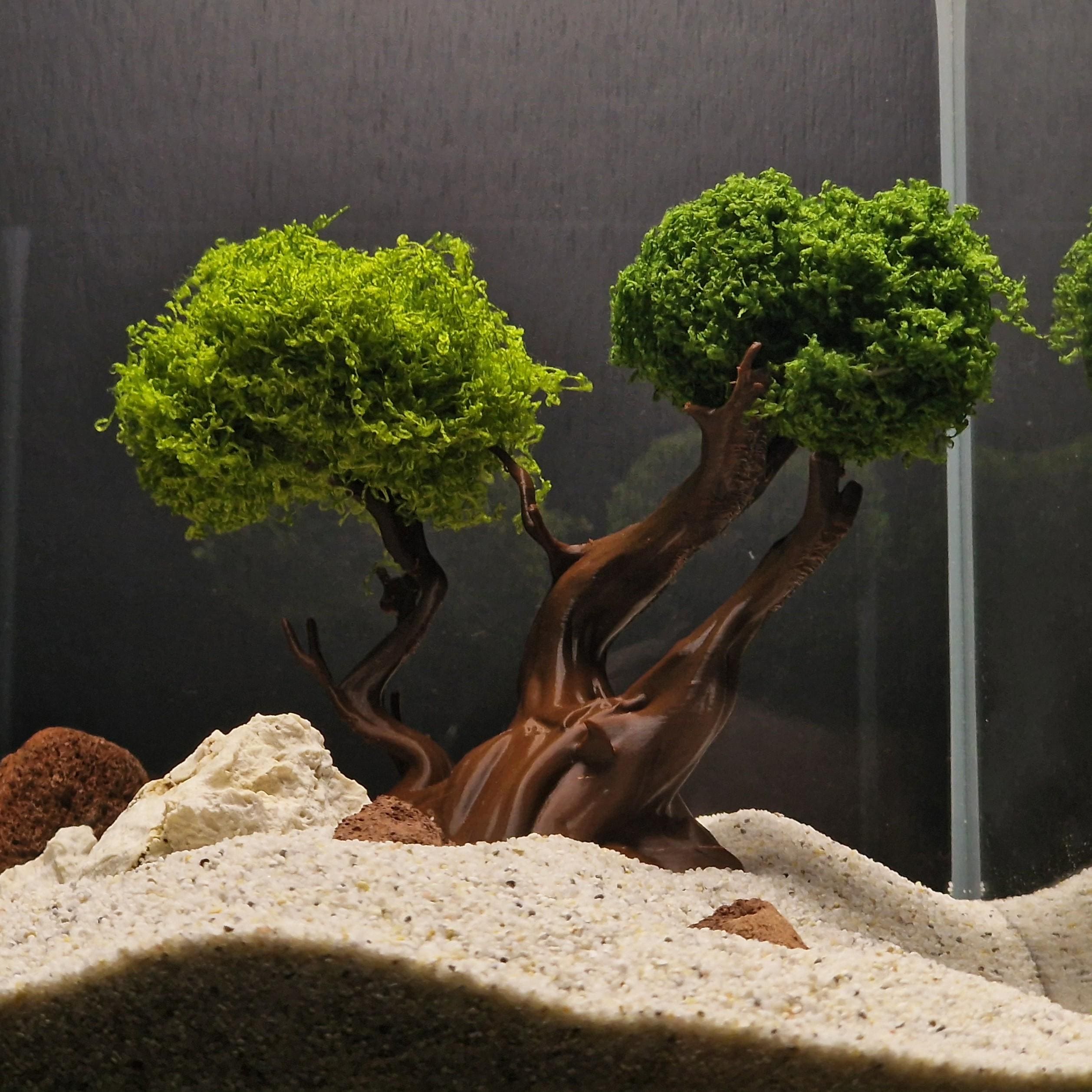 Aqua One Bonsai Baum Auf Felsen  27cm Aquarium Dekoration Aus Polyresin  Aquarium Pflanzen Plastik