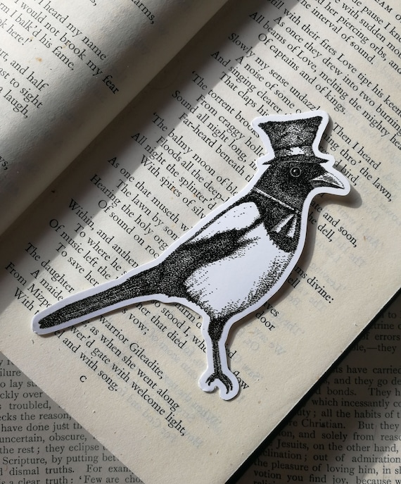 Hello Mister Magpie vinyl sticker- laptop sticker