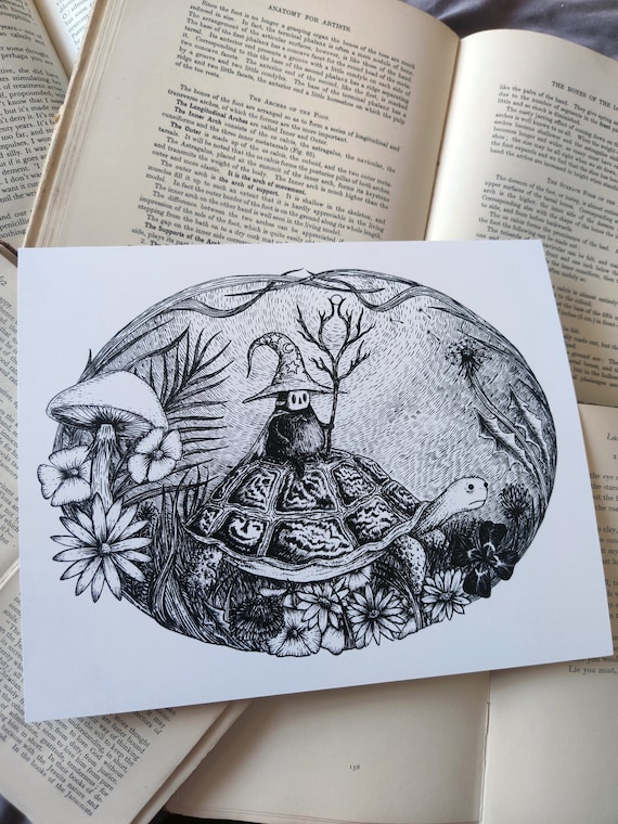 The Wizard of Springtime - magical tortoise art print