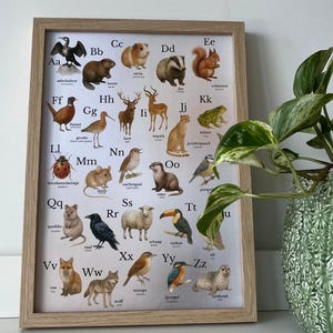 Puede incluir: Un póster educativo enmarcado que presenta el alfabeto con ilustraciones de animales. Cada letra se combina con un animal diferente, como una ardilla, un tejón y una rana. El póster está en un marco de madera clara.