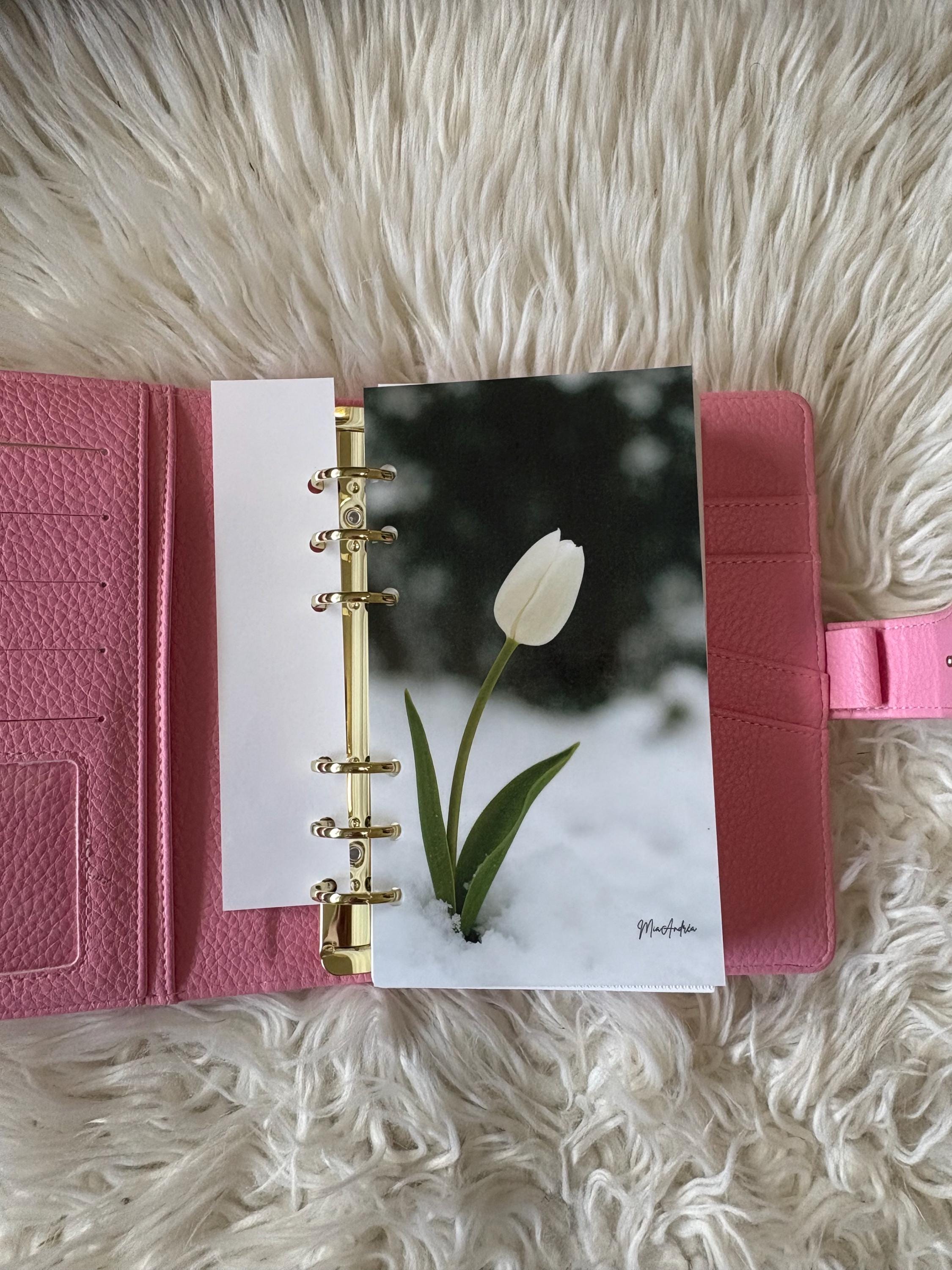 Cash Stuffing Binder Bundle ! A6 Binder With Envelopes , Bookmark ...