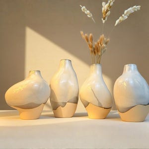 The Terra Drift Vase | Half Glazed Ceramic | Terracotta Base | Sculptural Home Decor | 4 Styles
