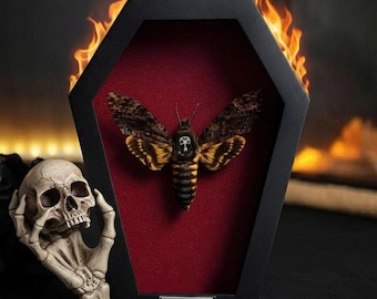 Death's Head Hawkmoth Coffin Frame, Acherontia Atropos, Skull Moth Taxidermy, Gothic Wall Decor, Oddities and Curiosities, Witchy Gift