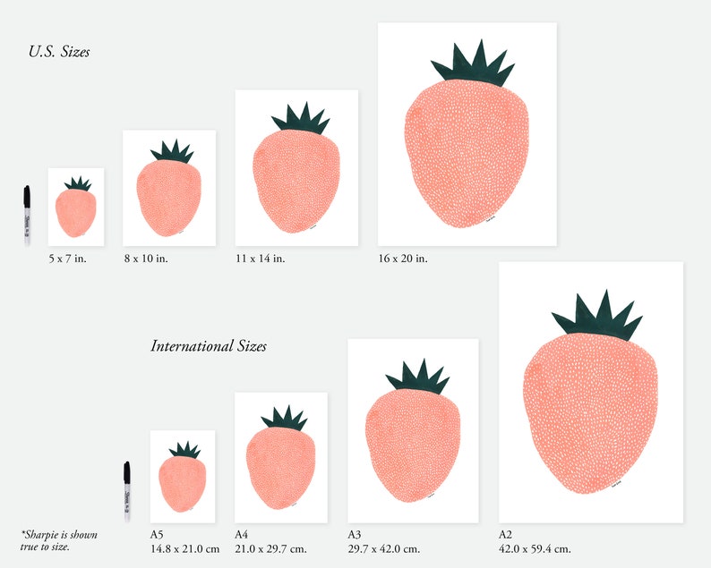 May include: A chart showing different sizes of printable art featuring a pink strawberry with a dark green crown. The sizes are listed in inches and centimeters. The chart includes U.S. and International sizes.