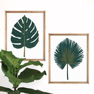 Op de afbeelding: Twee ingelijste prints van tropische bladeren. De print aan de linkerkant toont een groot, donkergroen monstera-blad. De print aan de rechterkant toont een groot, donkergroen palmblad.