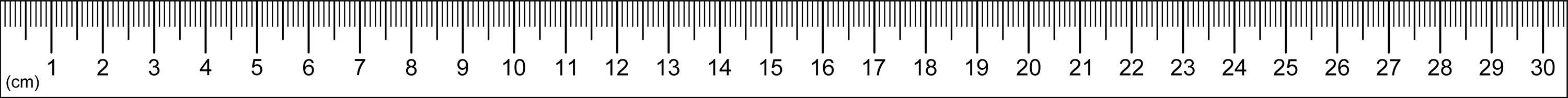 Printable Rulers | English and Metric Measurements Included | PDF | PNG ...