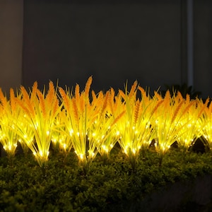 Puede incluir: Hierba de trigo iluminada para exteriores. Las plantas artificiales tienen espigas de trigo de color amarillo anaranjado y hojas verdes. Pequeñas luces LED blancas cálidas se intercalan en la hierba de trigo, creando un brillo suave. El fondo es oscuro.