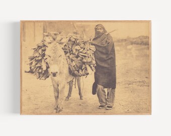 A Load of Fuel - Zuni, Edward Curtis Photography, Native America Wall Art, Native America Photography, Vintage Native America Photo.