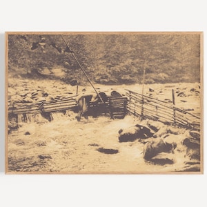 Hupa Trout - Trap Edward Curtis Print, American History, Sepia Tone Art, Monochromatic, Tribal, Artwork, Print