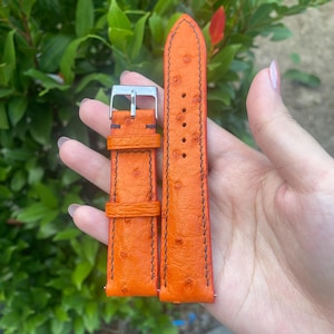 Puede incluir: Correa de reloj naranja brillante con aspecto de cuero de avestruz texturizado. La correa tiene costuras marrones oscuras y una hebilla plateada. La correa es nueva y sin usar.