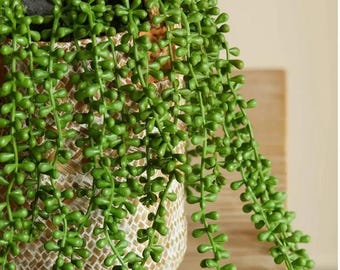 Planta trepadora suculenta artificial, realista, 70 cm, decoración colgante, ideal para el hogar, bodas, habitaciones y oficinas.