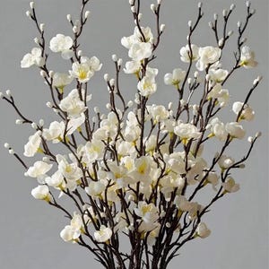 May include: A close-up of a bouquet of white flowers with yellow centres and dark brown stems. The flowers are in full bloom, with many buds visible. The background is a solid light grey.