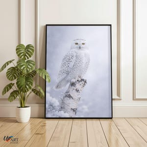May include: A framed print of a snowy owl on a snow-covered birch tree trunk. The owl has white feathers with black spots and yellow eyes. The background is a soft, snowy landscape. The print is in a black frame.