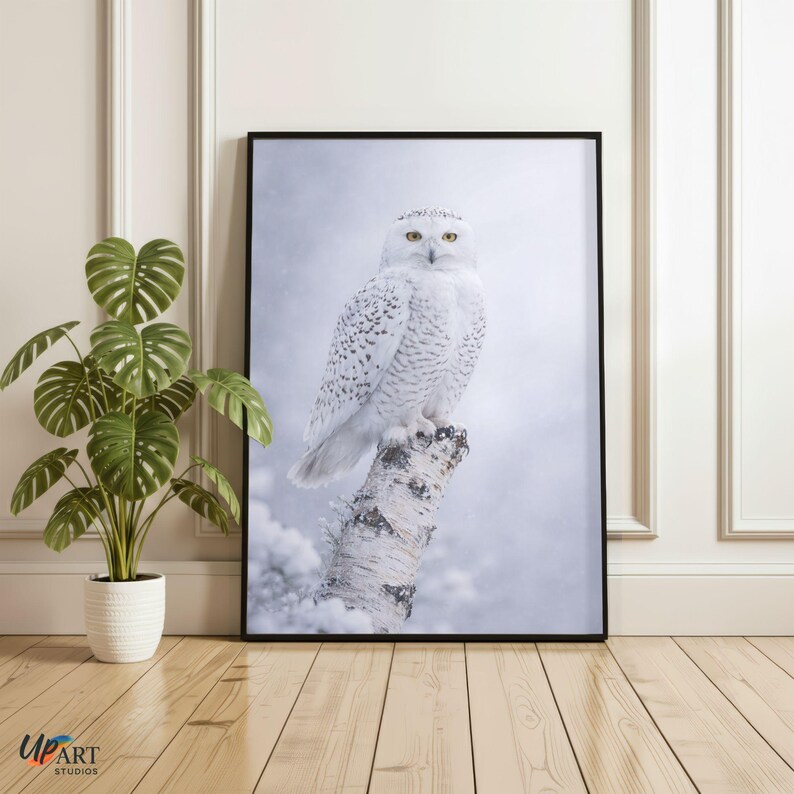 May include: A framed print of a snowy owl on a snow-covered birch tree trunk. The owl has white feathers with black spots and yellow eyes. The background is a soft, snowy landscape. The print is in a black frame.