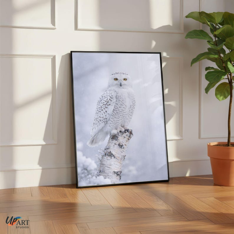 May include: A framed print depicting a snowy owl on a birch tree trunk. The owl has white plumage with black spots and yellow eyes. The background shows a snowy scene. The print is in a black frame and rests against a white wall.