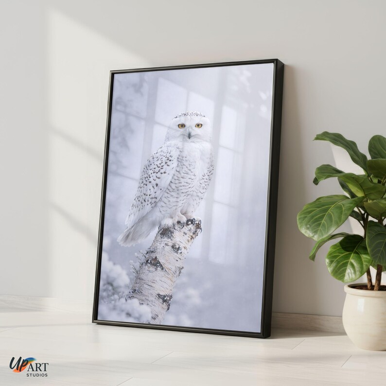 May include: Framed art print of a snowy owl on a snow-covered branch. The owl has white feathers with black markings and yellow eyes. The background is a misty winter scene. The frame is black. The artwork is by Up Art Studios.